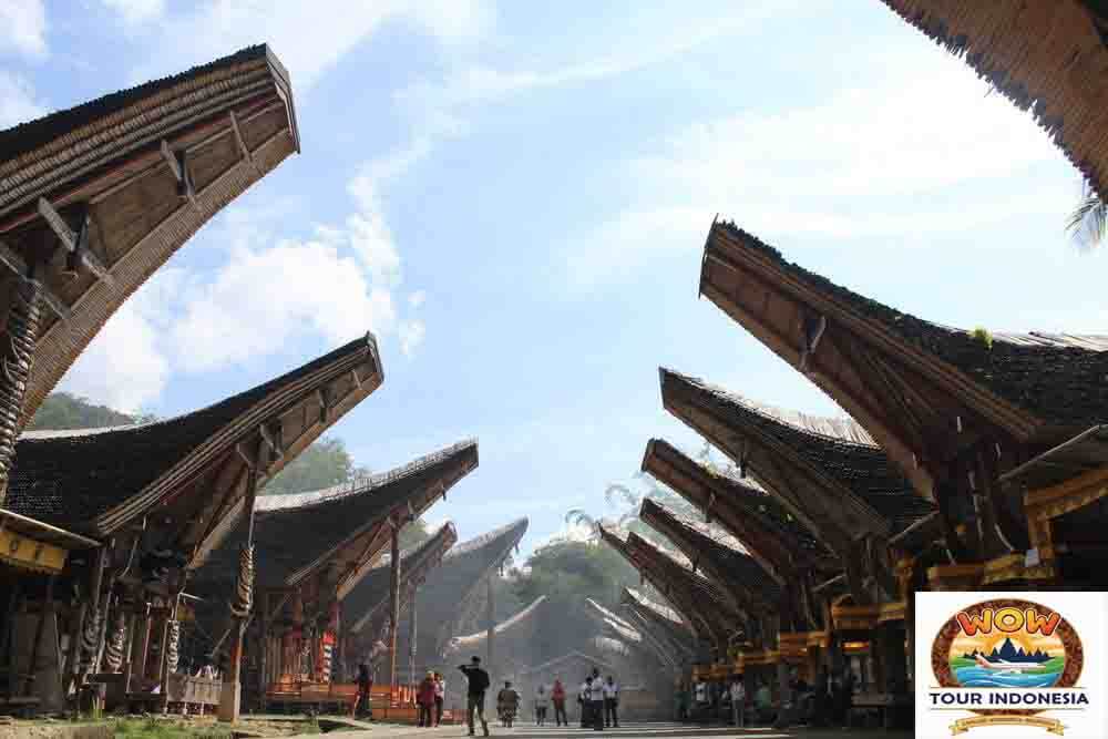 toraja (1)